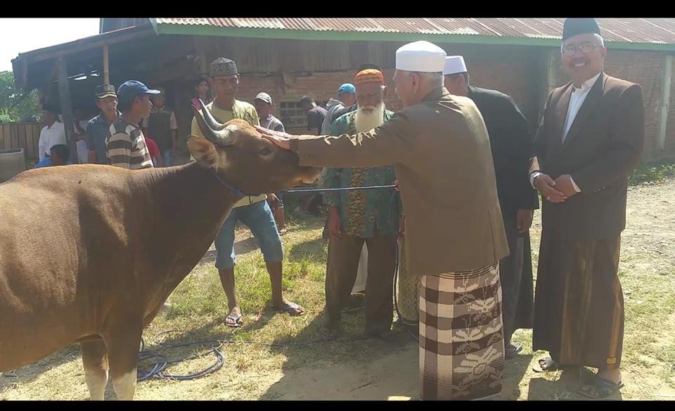 Panitia Qurban Pontren As'adiyah Sembelih Puluhan Hewan