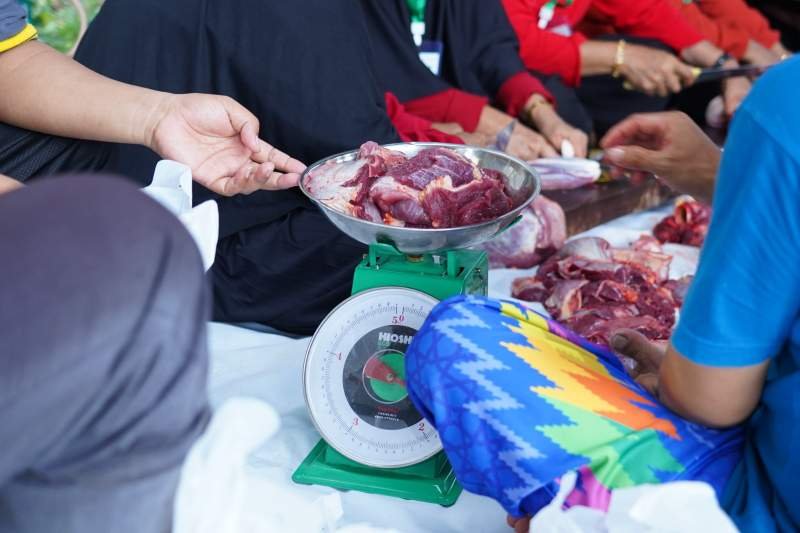 Bank Indonesia Salurkan Dua Ekor Sapi untuk Kegiatan Kurban As’adiyah 1447 H