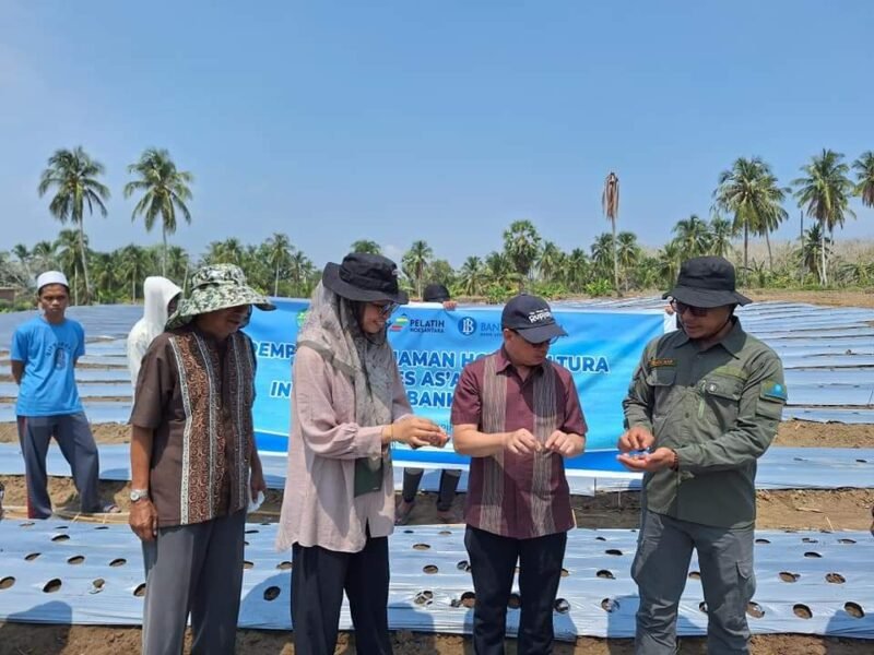 Penanaman Program Demplot Hortikultura di Pontren As'adiyah dengan Dukungan Bank Indonesia